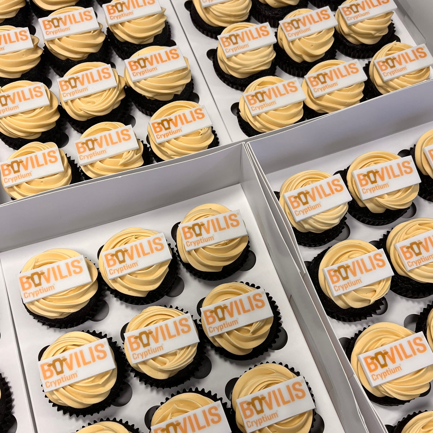 Cupcakes 48 stk. med Firma Logo til dit event